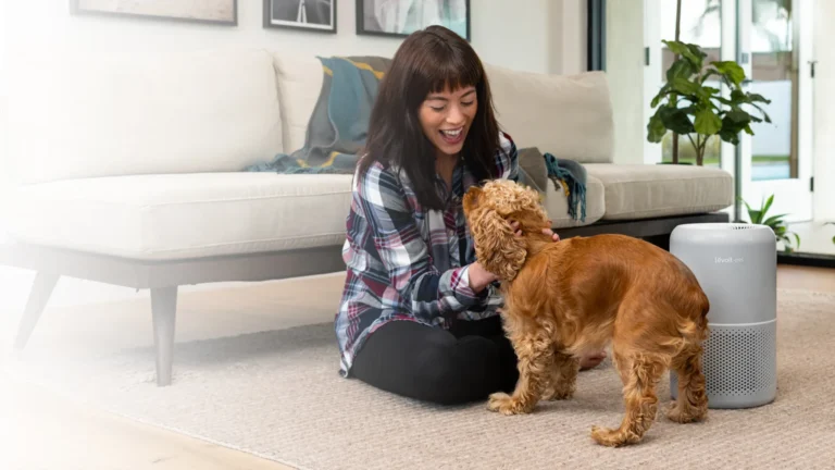 Product Reviews 4 Air Purifiers for Bedroom Home