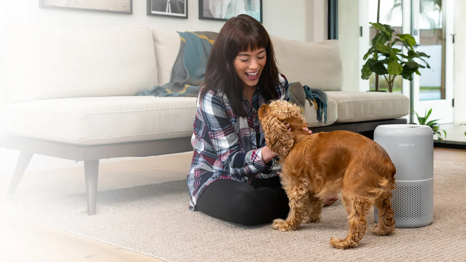 Air Purifiers for Bedroom Home