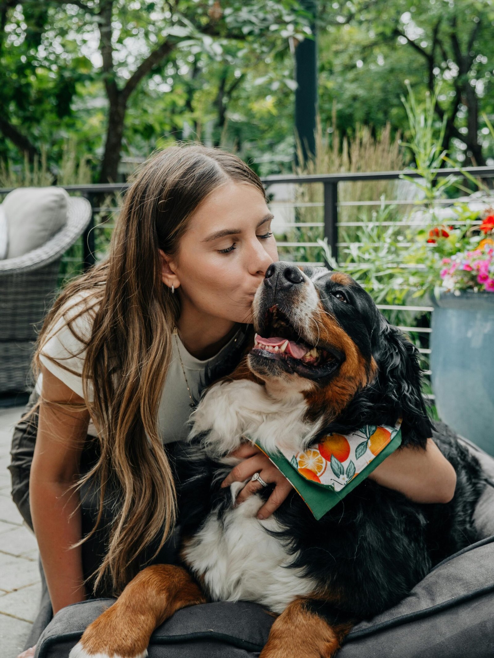 pexels impact dog crates 1789722873 28948918 scaled Fitter Picks