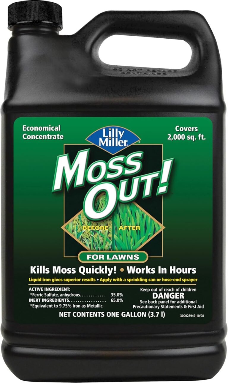 81qNDPoJP6L. AC SL1500 Fitter Picks