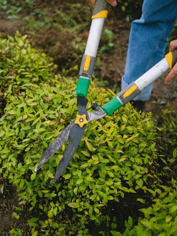 pexels-shvetsa-5231138 pexels-shvetsa-5231138